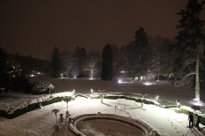 img_2540_bildgrose-andern