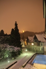 img_2546_bildgrose-andern